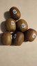 佳沛（zespri）綠奇異果特大果22-25個(gè)原箱裝單果約133-176g 獼猴桃 水果 曬單實(shí)拍圖