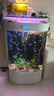 美諾魚(yú)缸客廳免換水家用中小型智能1.2米雙圓形靠墻大型背濾金龍魚(yú)缸 白色【高清玻璃+顯示屏+魚(yú)缸大禮包】 80*50*138 曬單實(shí)拍圖