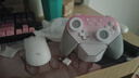 蓋世小雞（GAMESIR）超新星無(wú)線(xiàn)游戲手柄帶底座 適用switch2手機PC安卓Steam電腦NS2pro電視體感藍牙有線(xiàn)粉色絲之歌 曬單實(shí)拍圖