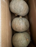 京覓 新疆銀栗南瓜 凈重8.5斤 單果700g起 粉糯香甜 新鮮蔬菜 包郵 曬單實(shí)拍圖