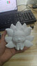拓竹P1SC 3D打印機桌面家用FDM全自動(dòng)調平大尺寸多色高速3d打印機器【大陸版】 曬單實(shí)拍圖