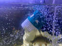 HIDOM 希騰魚(yú)缸造浪泵 沖浪泵 WM-301單頭8W  水族箱大流量打浪泵 曬單實(shí)拍圖