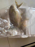 翔泰 海南金鯧魚凈重900g 2條裝  魚類生鮮 燒烤 火鍋食材 海鮮水產(chǎn) 曬單實(shí)拍圖
