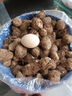 三萌果蔬牛奶小芋頭新鮮現挖農家毛芋頭香甜軟糯奶芋艿山東早餐特產(chǎn)健康 5斤甄選果【粉面軟糯】?jì)?.5斤 曬單實(shí)拍圖