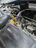 殼牌（Shell）機(jī)油全合成機(jī)油5w-40(5w40) API SP級(jí) 4L 都市光影版 京東養(yǎng)車 曬單實(shí)拍圖