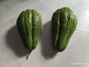 正宗云南現(xiàn)摘現(xiàn)發(fā)佛手瓜洋瓜新鮮時令蔬菜生鮮 佛手瓜 1斤 帶箱 曬單實拍圖