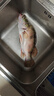 一味化氏魚(yú)餌釣魚(yú)餌料野釣四季鯽鯉鰱鳙餌全能腥香魚(yú)食窩料魚(yú)餌料 香+腥各1包-【腥香搭配 輕松爆護】 曬單實(shí)拍圖