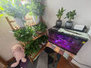 森森金麟超白玻璃魚缸一體缸自循環(huán)客廳小型家用水族箱LE-480B 曬單實(shí)拍圖