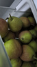 新疆庫爾勒香梨 產(chǎn)地直發(fā)當季水果  新鮮水果 八斤小果（單果100-120g） 曬單實(shí)拍圖