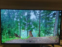 技嘉（GIGABYTE）27寸 第四代W-OLED電競顯示器 魔鷹Q280G 2K280Hz/0.03ms/TrueBlack500/1500nit/戰(zhàn)術(shù)輔助MO27Q28G 曬單實拍圖