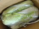 【冬儲菜】新鮮龍牙白菜大白菜無(wú)筋無(wú)絲開(kāi)鍋爛火鍋必備 5斤含箱 曬單實(shí)拍圖