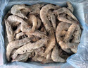 百年漁港白蝦大蝦 無(wú)冰凈重 2kg 白對蝦  加大號白蝦4斤 80-100只 曬單實(shí)拍圖