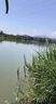 魚(yú)誘果酸釣魚(yú)小藥野釣黑坑池塘魚(yú)餌釣魚(yú)小藥強效誘魚(yú)添加劑全套開(kāi)口劑 一瓶裝【量小釣不過(guò)癮 】 釣魚(yú)小藥強效誘魚(yú)添加劑 曬單實(shí)拍圖