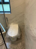 科勒（KOHLER）星逸智能馬桶廁所智能坐便器衛(wèi)生間一體機(jī)馬桶全家座【國補(bǔ)15%】 ST30全家座品牌旗艦帶沖洗功能 305坑距（適用295-350mm) 曬單實(shí)拍圖
