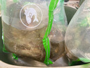 鮮活大基圍蝦250g(11-16只) 曬單實拍圖