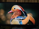 FFALCON雷鳥U6 27英寸4K QD-MiniLED辦公顯示器 HDR600 Type-C 65W 專業(yè)MAC模式 護眼認證 旋轉(zhuǎn)升降顯示屏 曬單實拍圖