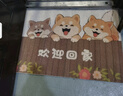 艾杰普絲圈入戶門地墊大門口進戶門廚房浴室腳墊子可裁剪防滑墊進門地毯 曬單實拍圖