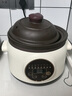 BAMBETEL班貝特德國品牌紫砂電燉鍋家用全自動煲湯鍋燉湯鍋養(yǎng)生輔食煮粥鍋 紫砂款3-5人29cm 3.8L 曬單實拍圖