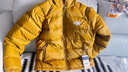 The North Face北面羽絨服男戶(hù)外高蓬保暖鵝絨防潑水7W7G 綠色/1OB L 曬單實(shí)拍圖