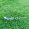 進(jìn)口草坪草籽四季常青狗牙根黑麥草剪股穎高羊茅庭院綠化護坡種子 混播四季青 500克 曬單實(shí)拍圖