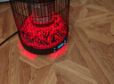 駱駝取暖器家用小型鳥(niǎo)籠式烤火爐室內小太陽(yáng)電熱取暖器2025新款取暖爐冬天暖手暖腳神器圍爐烤火器 鳥(niǎo)籠取暖器【傾倒斷電+智能遙控】 曬單實(shí)拍圖
