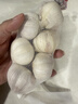 大蒜頭出口品質(zhì)網(wǎng)兜紫蒜蔬菜調料新鮮大果燒烤火鍋食材 【精品網(wǎng)兜裝】6頭裝 0.46g 曬單實(shí)拍圖