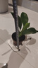 特價(jià)大葉金鉆綠公主盆栽植物除甲醛綠植辦公室四季常青室內(nèi)擺放花 【1盆】金鉆+基地原盆 含盆高度15-20厘米 曬單實(shí)拍圖