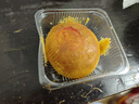 嘉華 精制云腿月餅10枚800g送便攜盒 云南傳統中秋月餅糕點(diǎn)伴手禮 曬單實(shí)拍圖