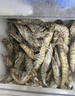 Member's Mark 泰國進(jìn)口 生冷凍黑虎蝦 2kg (約31-40只/每千克) 2kg(凈重) 曬單實(shí)拍圖