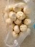 皇家小虎嵊州風(fēng)味手工老面小籠包2斤/約40個(gè) 早餐包子半成品食品 源頭直發(fā) 曬單實(shí)拍圖