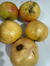 京鮮生 四川會(huì)理突尼斯軟籽石榴 6斤單果300-350g 生鮮水果源頭直發(fā) 曬單實(shí)拍圖