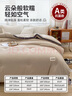 無(wú)印良品立體A類(lèi)10%大豆纖維秋冬季被子棉被芯 6斤200*230cm 【淺咖】 曬單實(shí)拍圖