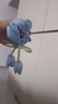 甜美百搭郁金香大腸發(fā)圈高級氣質(zhì)皮套頭繩發(fā)飾馬尾高端發(fā)繩 隨機(jī)一個裝 曬單實拍圖