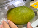 京鮮生 攀枝花凱特芒果 凈重4.5斤 單果300g+ 生鮮水果源頭直發(fā) 曬單實(shí)拍圖
