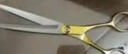 貝意品寵物美容狗狗剪刀剪毛工具專用修毛套裝剪狗毛彎剪子泰迪剪毛神器 曬單實(shí)拍圖