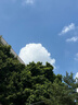 京鮮生 巨峰葡萄 4-4.5斤禮盒裝 生鮮水果 酸甜口感易掉粒 中秋禮盒 曬單實(shí)拍圖