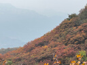 三峰出三峰雨衣戶(hù)外登山徒步男女通用超輕爬山釣魚(yú)超輕雨披多功能防雨15 2025款15D衣袖款活力橙L 曬單實(shí)拍圖