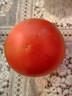 京地達河北有機西紅柿番茄自然熟凈重1800g單盒300g有機蔬菜源頭直發(fā) 曬單實(shí)拍圖