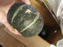 京鮮生 山東貝貝南瓜凈重5斤(品種：麻籽) 中果300g+ 板栗香 源頭直發(fā) 曬單實拍圖