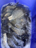 小金坨朝天鉤散裝斜穿心銅頭金海夕鉛頭鉤野釣傳統(tǒng)釣鯽魚(yú)釣魚(yú)鉤 6號(hào) 小金坨朝天鉤有刺【10枚】 曬單實(shí)拍圖