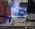 BESSN貝森金晶五線汽車級(jí)超白缸玻璃魚缸客廳裸缸家用水草溪流缸 金晶400*300*300 6mm厚 曬單實(shí)拍圖