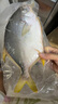 翔泰 海南金鯧魚(yú)凈重900g 2條裝  魚(yú)類(lèi)生鮮 火鍋食材 海鮮水產(chǎn) 中秋 曬單實(shí)拍圖