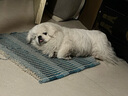 寶路狗糧全犬種通用全價(jià)糧成犬狗糧中小型犬牛肉味7.5kg【原料透明】 曬單實(shí)拍圖