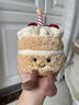 Jellycat趣味生日蛋糕毛絨玩具公仔禮物 趣味蛋糕 16cm x 12cm x 12cm 曬單實(shí)拍圖
