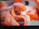 KTC 27英寸4K顯示屏超清 400nit高亮 IPS技術(shù)硬屏 方形底座支架電腦辦公顯示器國家補貼H27P27 曬單實(shí)拍圖