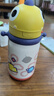 babycare兒童水杯6個(gè)月以上寶寶霸王龍不銹鋼保溫杯上學(xué)450ml-新舊款混發(fā) 曬單實(shí)拍圖