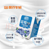 風(fēng)行牛奶 藍(lán)莓風(fēng)味牛奶飲品 200ml*12盒 牛奶禮盒裝 送禮佳品 曬單實(shí)拍圖