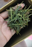 接運貓安吉白茶【一斤】2025新茶特級珍稀口糧綠茶正宗明前春茶嫩芽茶葉 250克半斤裝 正宗安吉白茶 曬單實(shí)拍圖