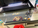 當貝智能生態(tài)魚(yú)缸1Ultra 一體缸自循環(huán)桌面魚(yú)缸+HIDOM增氧泵套餐 曬單實(shí)拍圖
