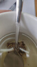 同仁堂菊花枸杞?jīng)Q明子茶養盰護肝茶金銀花甘草牛蒡根熬夜上火養生茶150g 曬單實(shí)拍圖